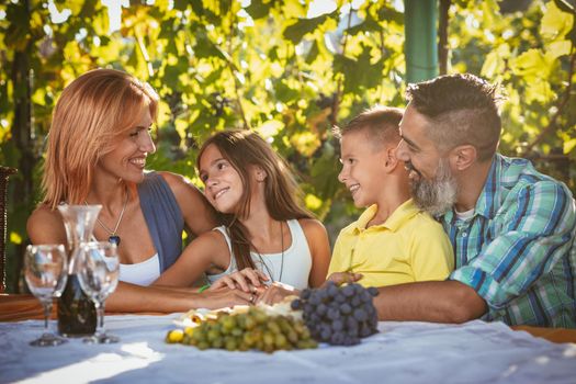 Beautiful young smiling family of four having picnic at a vineyard.