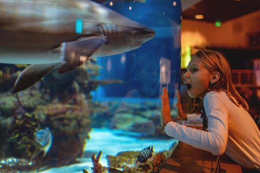 Young girl standing outstretched against aquarium glass fascinated by the shark.