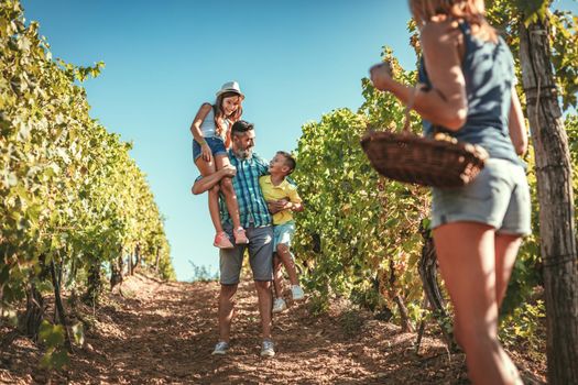 Beautiful young smiling family of four having fun at a vineyard.