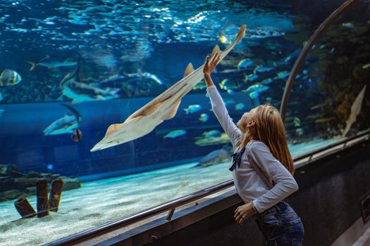 Young girl standing outstretched against aquarium glass fascinated by ocean world and touches the   devilfish in an oceanarium tunnel.
