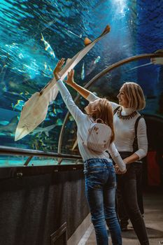 Happy mother and daughter standing outstretched against aquarium glass fascinated by ocean world and touches the  devilfish in an oceanarium tunnel.
