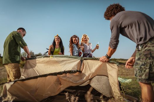 The young happy friends are preparing for camping. They're installing a tent on a suitable place in a meadow and their girlfriends are offering the beer to them.
