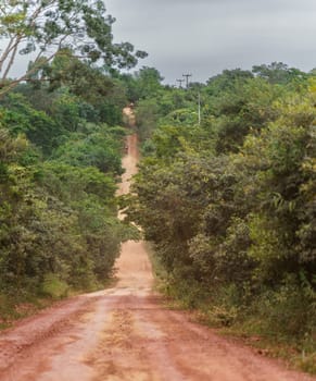 A scenic image of a truck traveling on a winding red-dirt road through a lush forest, heading to an unknown destination.