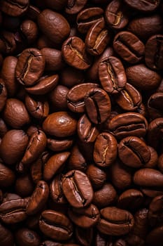 Texture of raw coffee beans close up. High quality photo