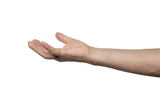 a male hand with the palm up on a transparent background