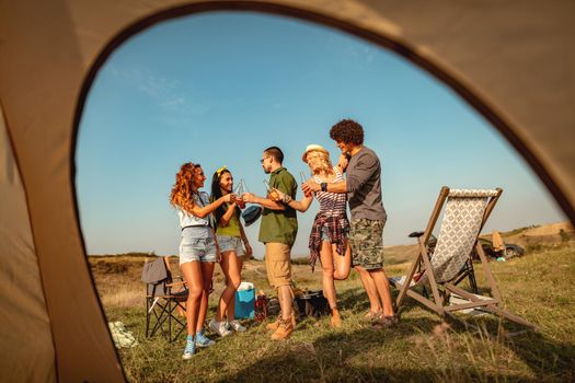 Happy young friends enjoy a sunny day in nature. They're clinking beer bottles, laughing and talking happy to be together.