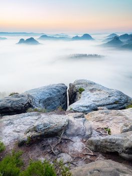 Wake up of misty sandstone mountains with the gradation of creamy clouds. Misty daybreak in a beautiful hills. Peaks of hills are sticking out from foggy background the fog.