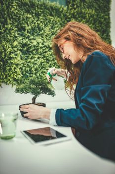 Young business woman working in the office with wall covered of grass. She sprays water on bonsai tree and smiles.