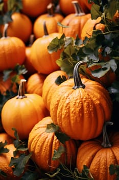 Close-up of ripe orange pumpkins in a field. Autumn, harvest. Selective focus. AI Generated.....