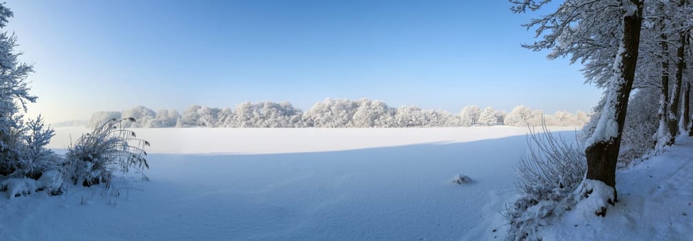 A beautiful white winter landscape with snow and trees