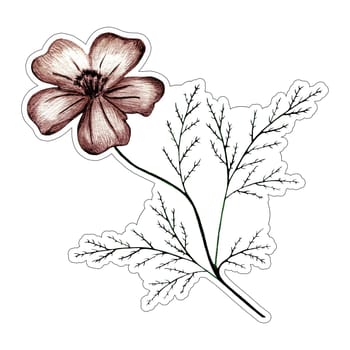 Marigold Flower with Leaves Sticker Illustration. Hand Drawn Isolated Colorful Floral Sticker.