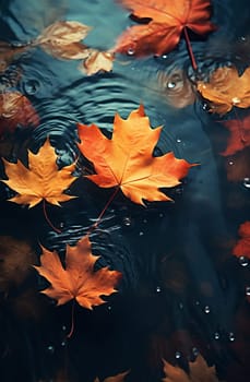 Close-up of fallen maple leaves in an autumn puddle after rain. Autumn, fading, leaf fall. Selective focus. AI generathed...