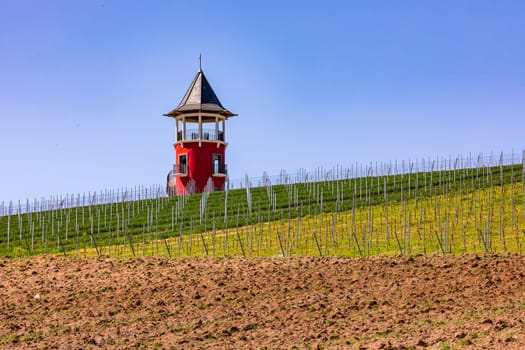 The Burgundy Tower in Rheinhessen is an observation tower surrounded by vineyards