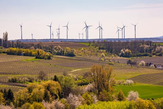 Rural fields and trees in front of a wind farm with many wind turbines for the energy transition, Rhineland-Palatinate, Germany