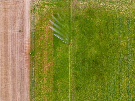 Irrigation system with sprinkler in agriculture during drought in hot summer seen from air, Germany