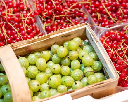 berries, fresh, red currant, and black gooseberry, in bowls, top view, no people, market Lithuania. High quality photo