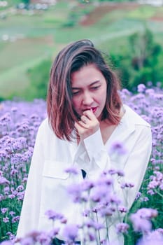 Women in the Verbena field are blooming and beautiful in the rainy season.