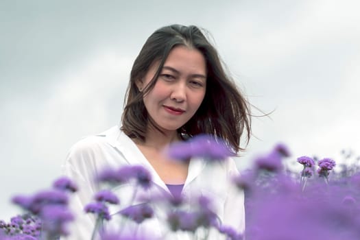 Women in the Verbena field are blooming and beautiful in the rainy season.