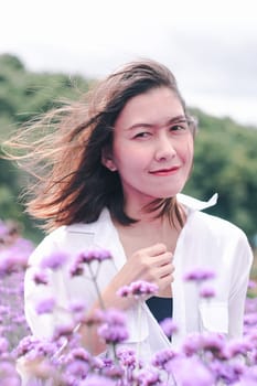 Women in the Verbena field are blooming and beautiful in the rainy season.