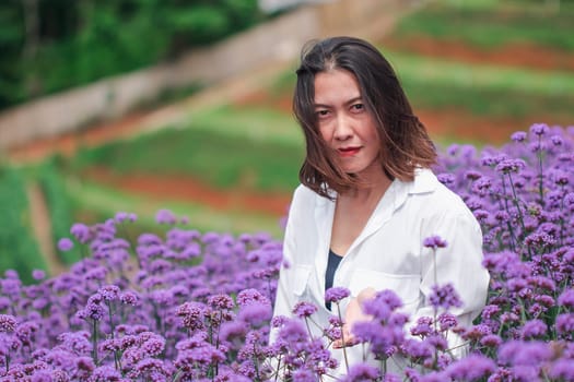 Women in the Verbena field are blooming and beautiful in the rainy season.