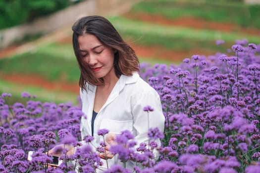 Women in the Verbena field are blooming and beautiful in the rainy season.