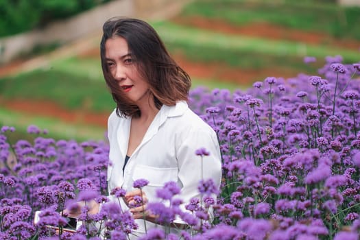 Women in the Verbena field are blooming and beautiful in the rainy season.