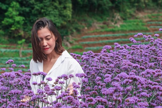 Women in the Verbena field are blooming and beautiful in the rainy season.