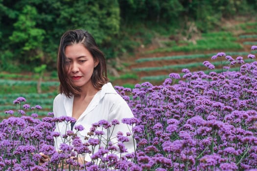 Women in the Verbena field are blooming and beautiful in the rainy season.