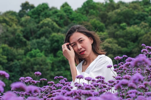 Women in the Verbena field are blooming and beautiful in the rainy season.