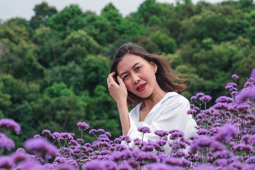 Women in the Verbena field are blooming and beautiful in the rainy season.