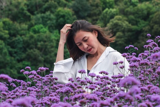 Women in the Verbena field are blooming and beautiful in the rainy season.