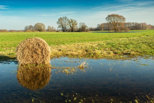 A bale of hay lies in water in a green meadow, rural landscape in eastern Poland