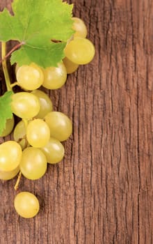 Bunches of fresh ripe grapes on a wooden textural surface.