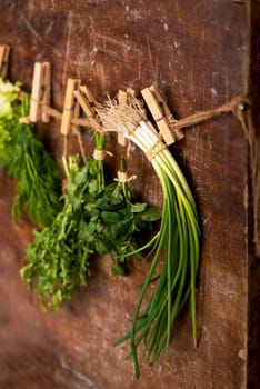 Fresh herbs over wooden background. Fresh herbs - green onions, dill, parsley and kiza, hanging over wooden background