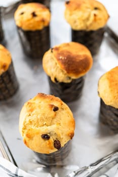 Cooling freshly baked mini Easter bread kulich on a kitchen counter.