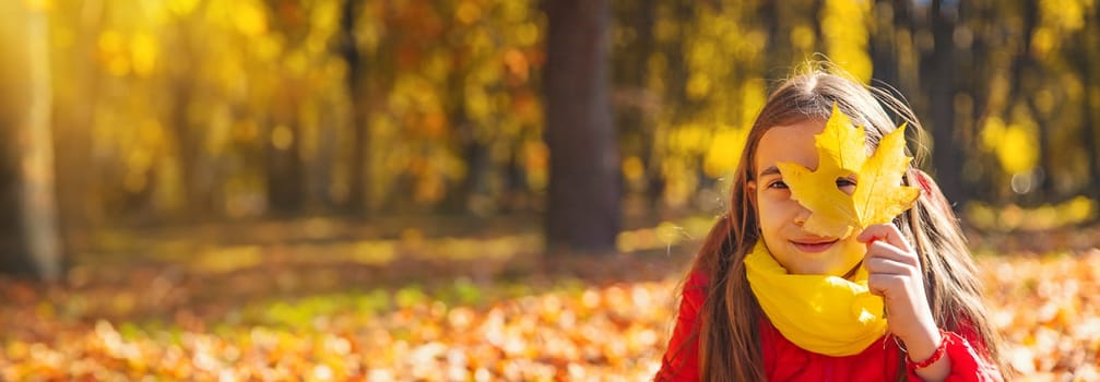 Autumn child in the park with yellow leaves. Selective focus. Kid.