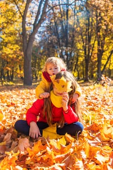 Autumn child in the park with yellow leaves. Selective focus. Kid.