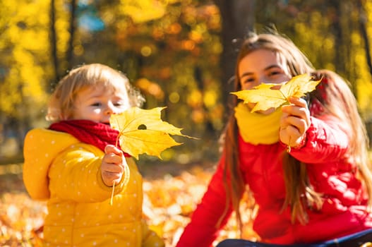 Autumn child in the park with yellow leaves. Selective focus. Kid.