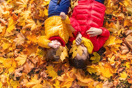 Autumn child in the park with yellow leaves. Selective focus. Kid.