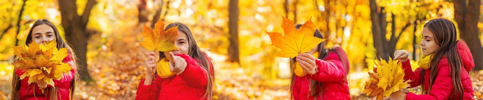 Autumn child in the park with yellow leaves. Selective focus. collage.