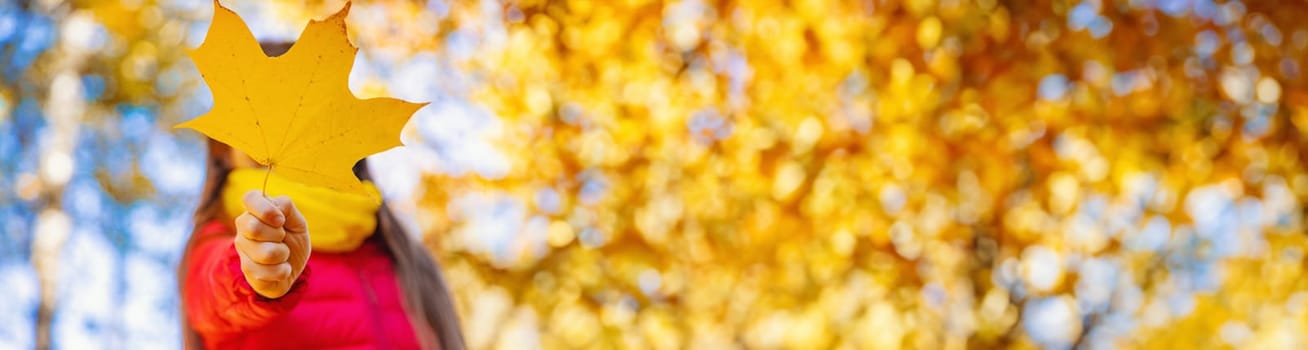 Autumn child in the park with yellow leaves. Selective focus. Kid.