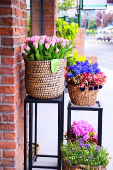 purple tulips in a box against a wall .