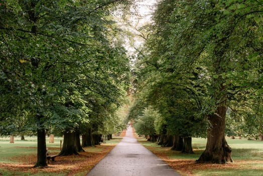 Calm fall season. Beautiful landscape with road in autumn forest. Maples and birch trees with green, yellow and orange leaves and footpath in the woodland in sunny day