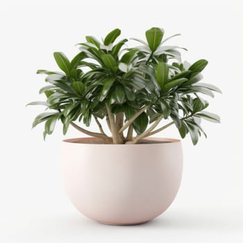 Simple elegance: a houseplant in a porcelain pot against a clean white backdrop. Ideal for modern interiors. AI Generative.