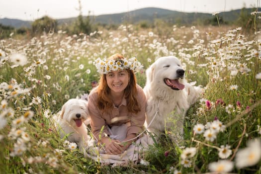 Woman dogs meadow chamomile. Woman embraces her furry friends in a serene chamomile field, surrounded by lush greenery. A heartwarming display of love and companionship between a woman and her dog