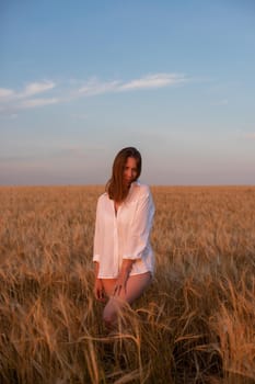 Woman in the yellow field of wheat, beauty summer sunset