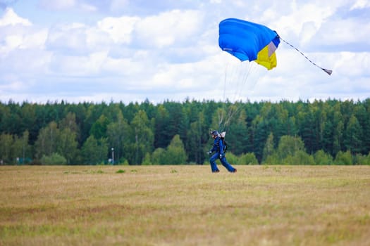 Landing skydivers-athletes with a parachute on the ground. High quality photo. Kirzhach Russia July 22, 2023