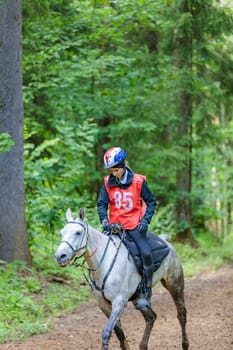 A rider rides a horse in a competition. Moscow Russia July 1, 2023. High quality photo