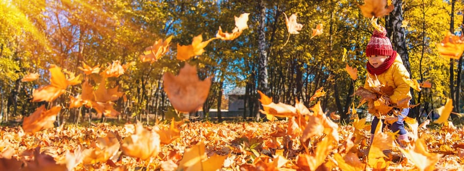 Autumn child in the park with yellow leaves. Selective focus. Kid.