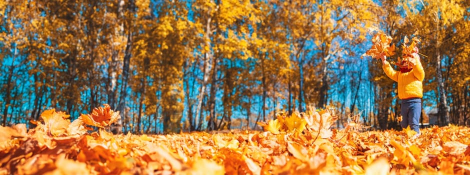 Autumn child in the park with yellow leaves. Selective focus. Kid.